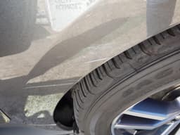 Photo by Tomer M. 1